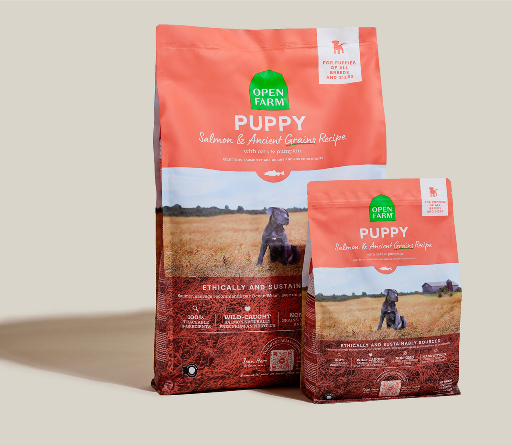 Salmon & Ancient Grains Puppy Kibble