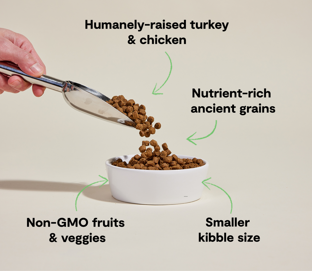 Small Breed Ancient Grains Dog Kibble