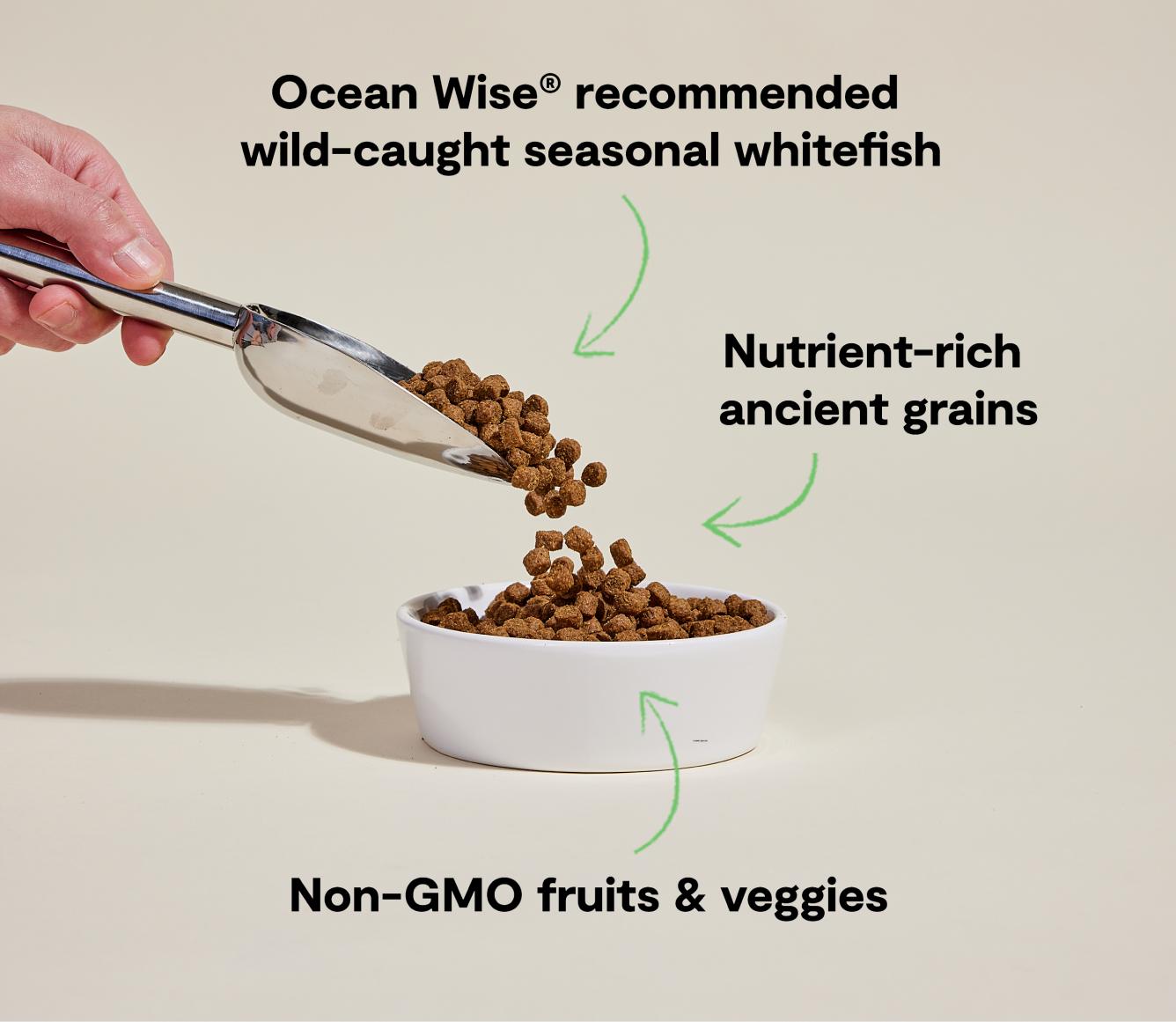 Whitefish & Ancient Grains Dog Kibble