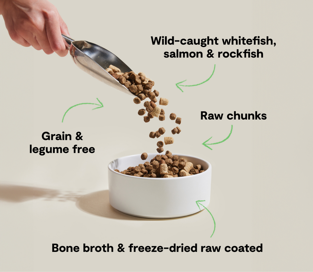 RawMix Wild Ocean Grain-Free Dog Kibble