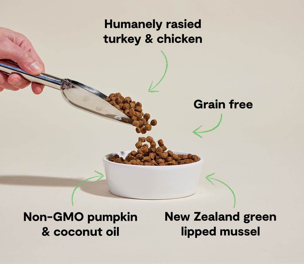 Senior Grain-Free Dog Kibble
