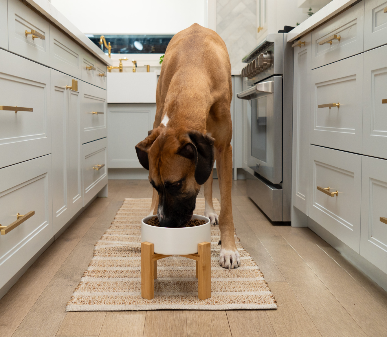 Goodbowl™ Harvest Chicken & Brown Rice Dog Kibble