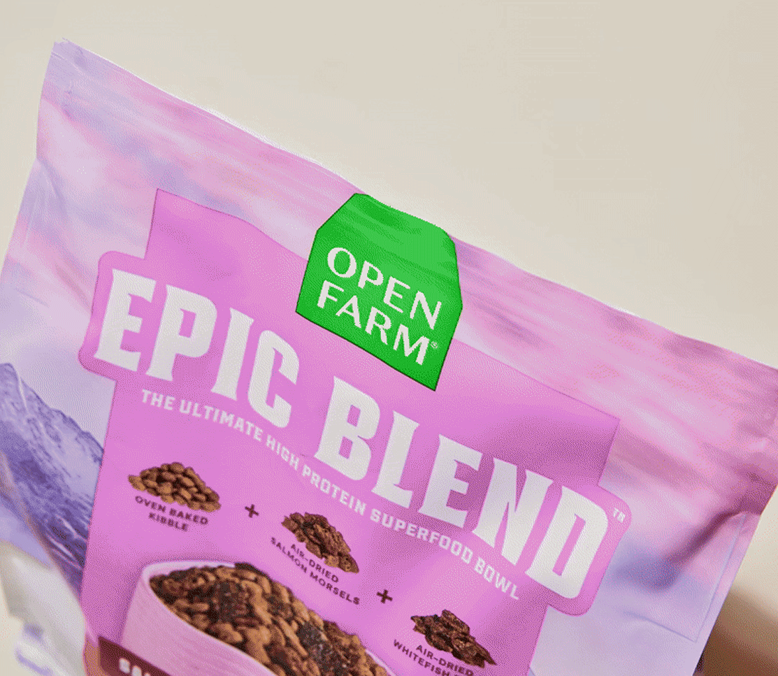 Epic Blend Salmon & Superfood Dry Dog Food